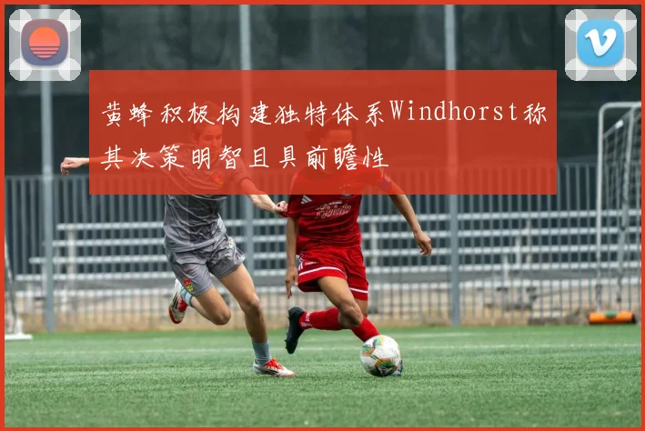 黄蜂积极构建独特体系Windhorst称其决策明智且具前瞻性