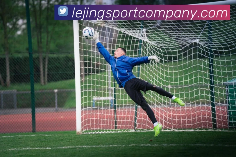 App Interface Preview