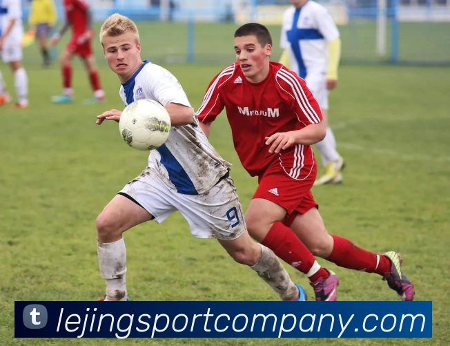 乐竞体育APP 封面图